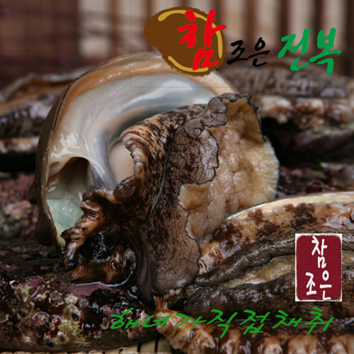 완도명품자연산전복 1kg(5~7미)